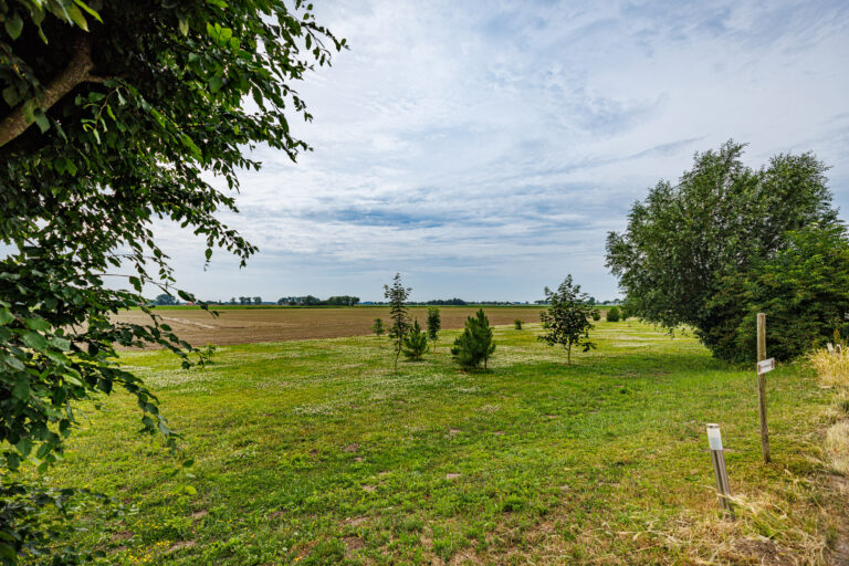 Pelsendijk 13