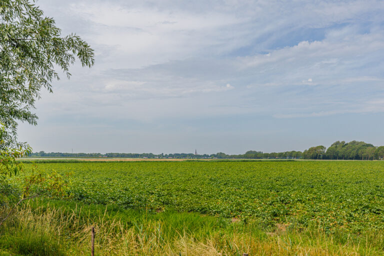 Pelsendijk 13