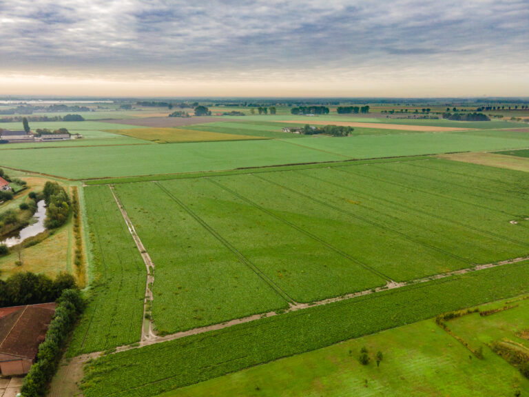 Pelsendijk 13