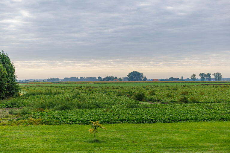 Pelsendijk 13